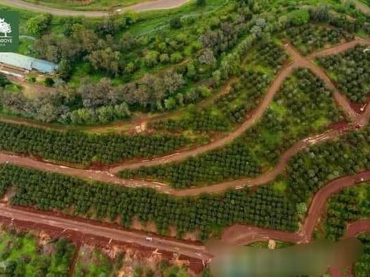 THIKA PRIME PLOTS FOR SALE